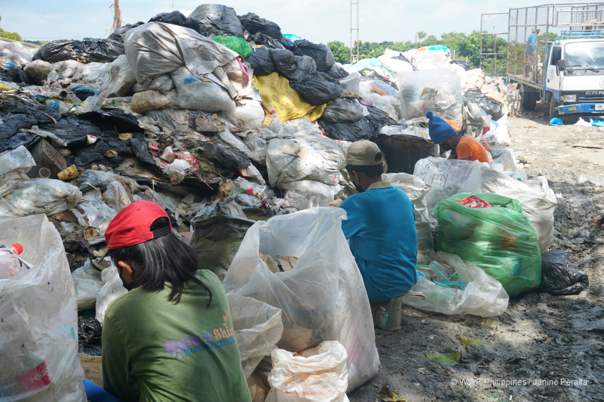 <h1>Trace Your Share: San Jose Sico Landfill cooperative</h1><p style=