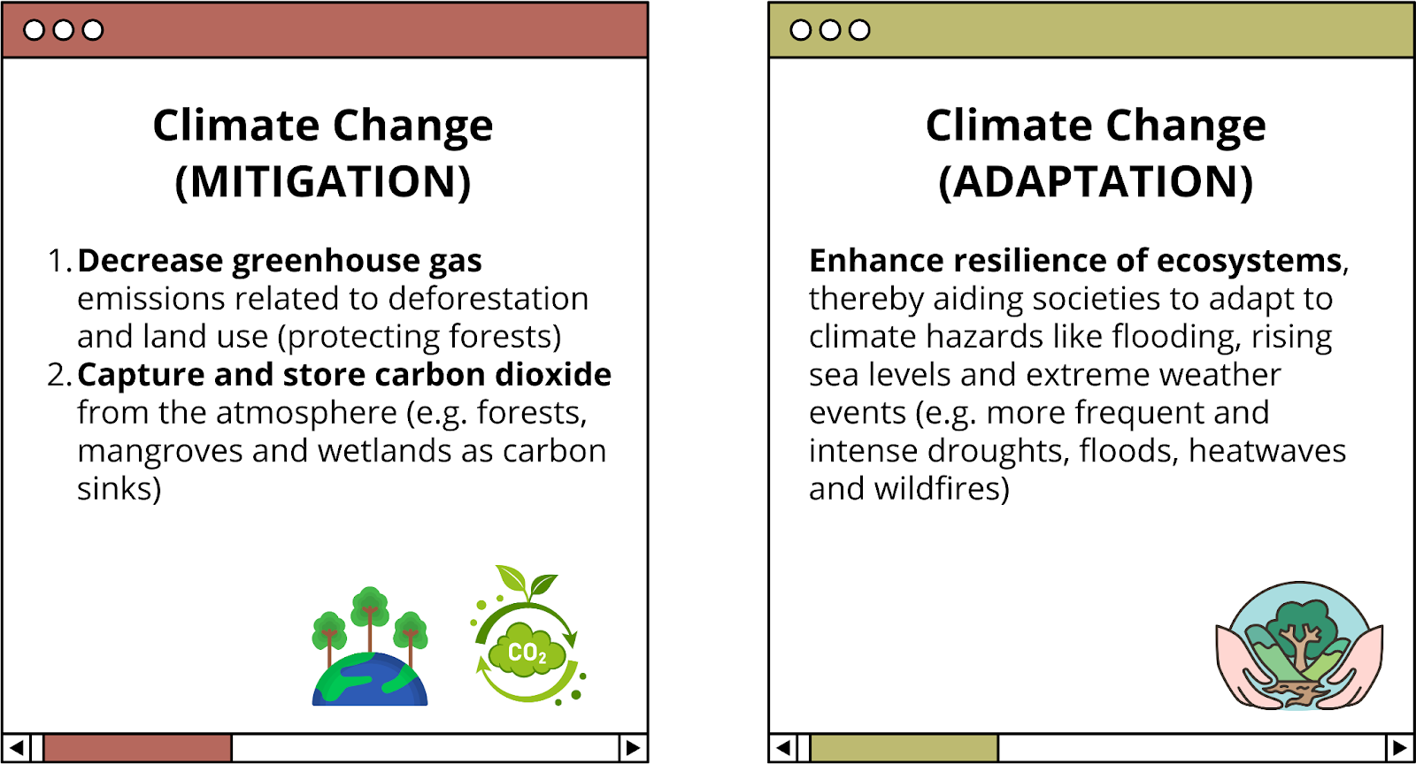 three-main-ways-nbs-help-combat-climate-change-wwf-singapore-elearning