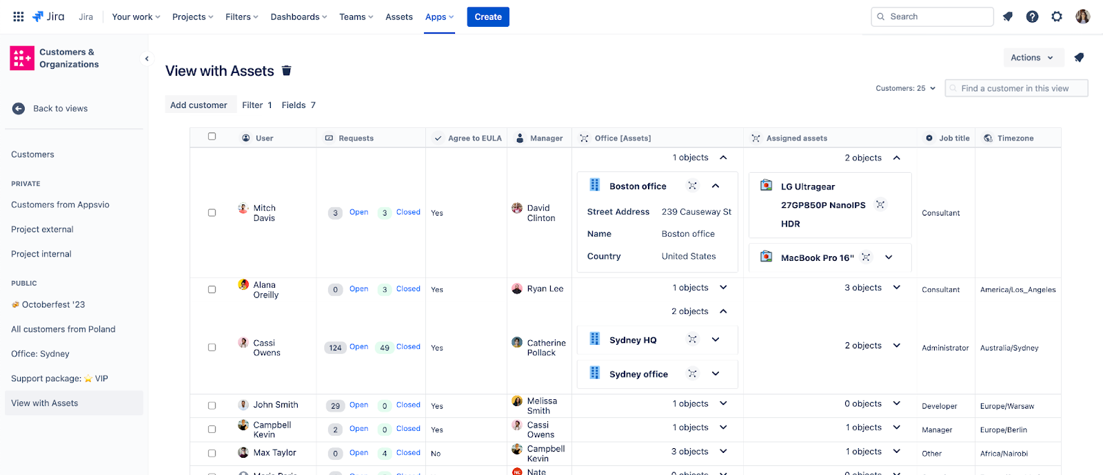 Jira customer view with assets