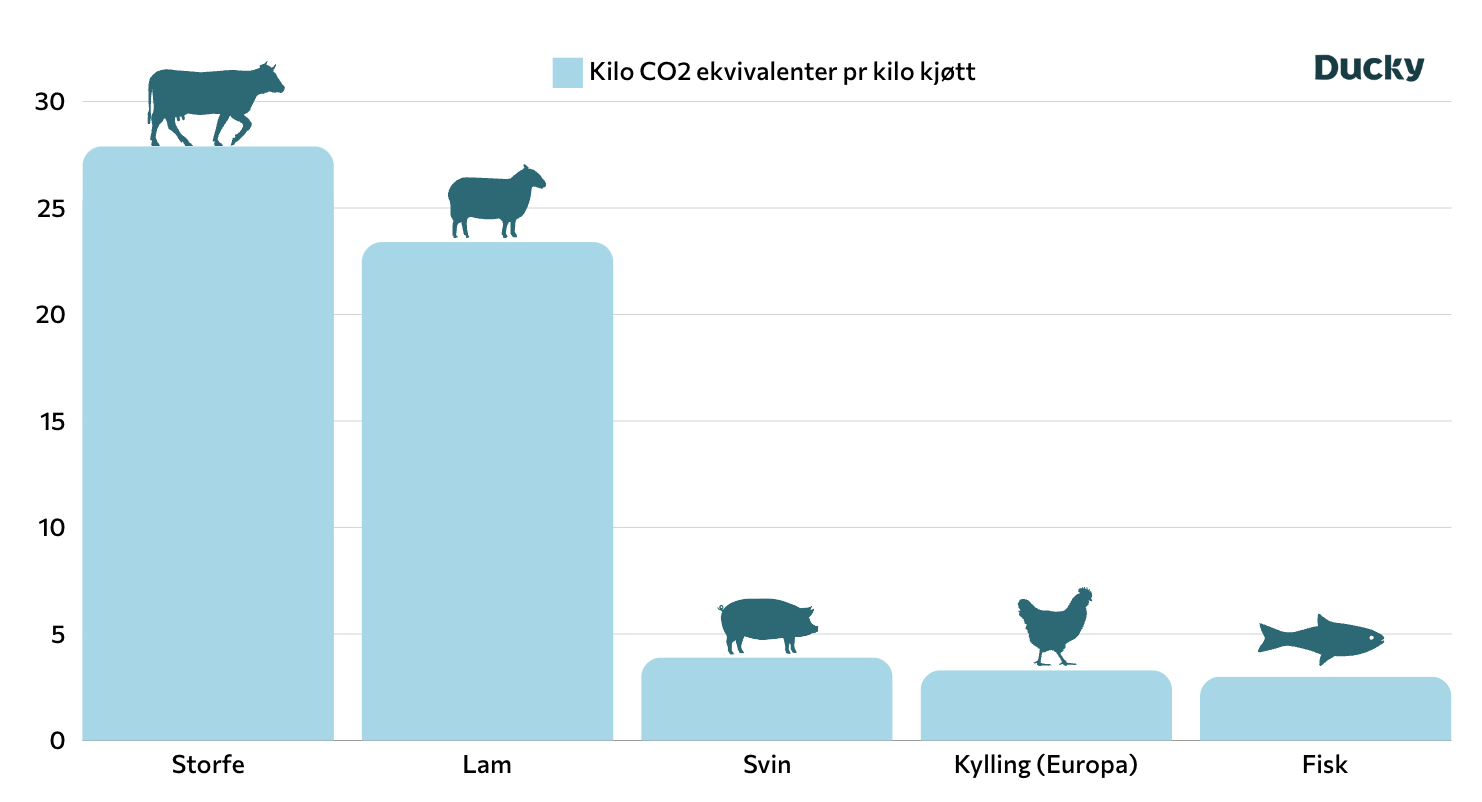 Illustrasjonen viser en graf, med oversikt over klimafotavtrykket på én kilo kjøtt fra storfe, lam, svin, kylling og fisk. Dataen er fra Ducky. 