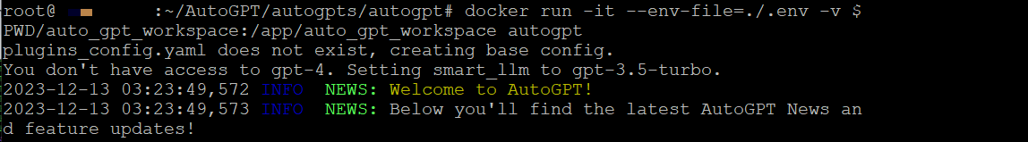 Docker runs Auto-GPT