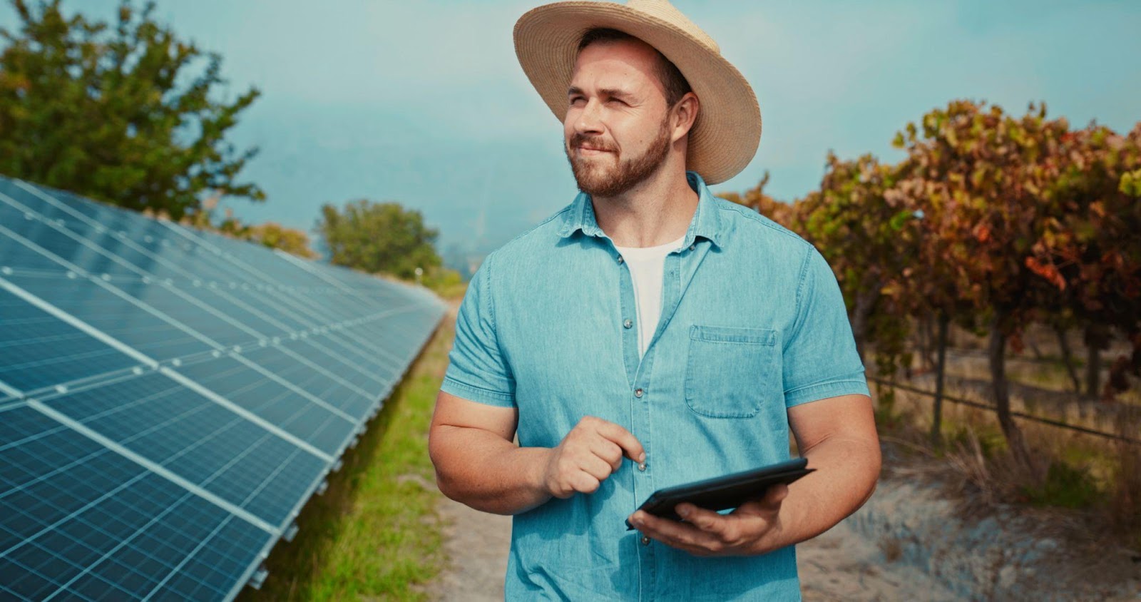 Gérer un projet de ferme solaire de A à Z