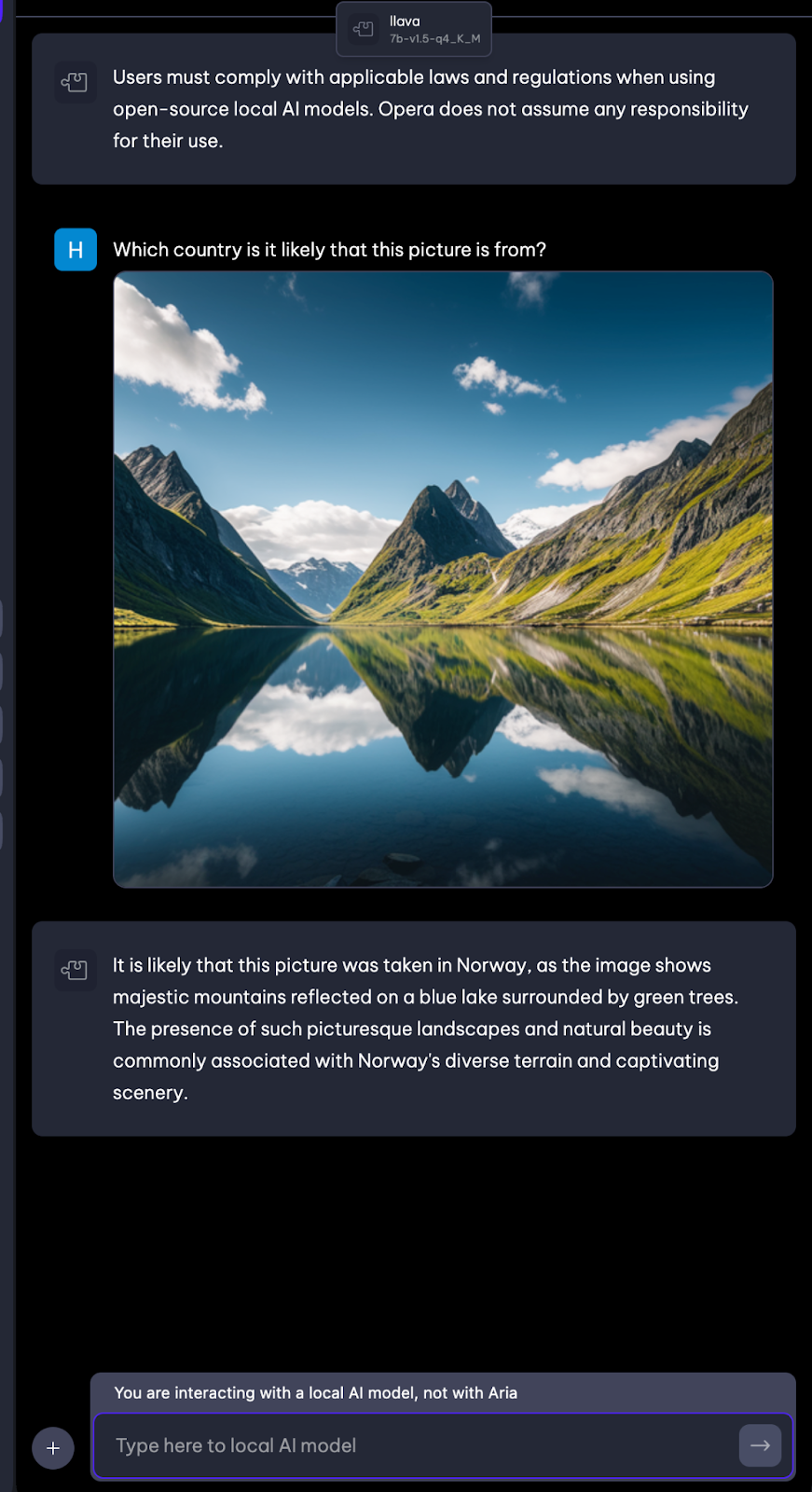 Example of Image Understanding using local LLMs in Opera Developer. 
