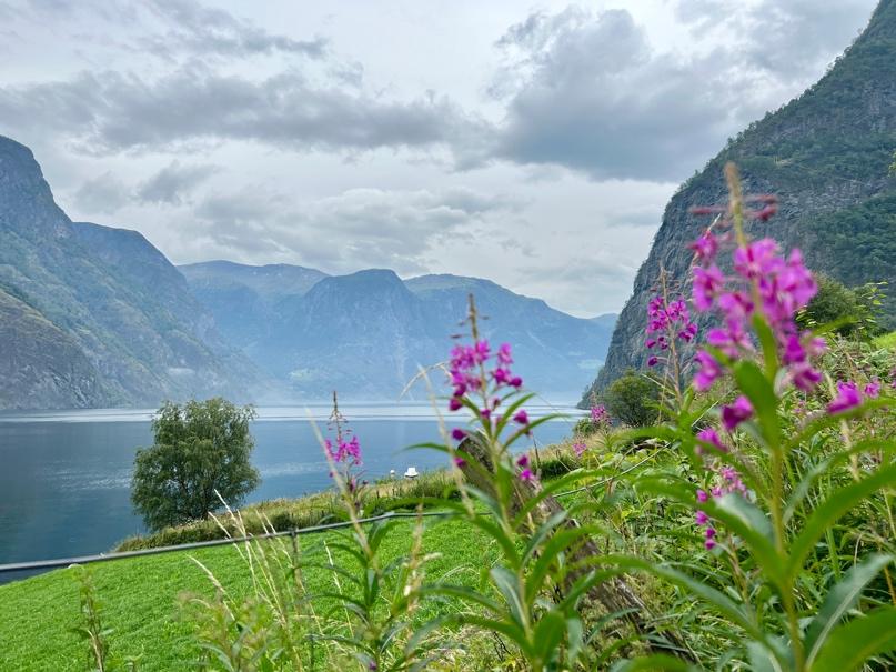 Landschaftsbild von einem Fjord in Norwegen.