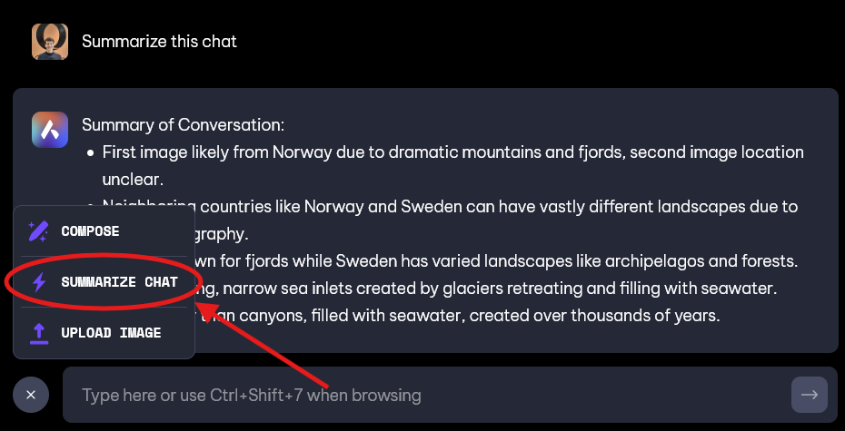 Summarize chat is a feature in which Aria can summarize the entire conversation until the current point. Giving users an overview of all the information provided. 