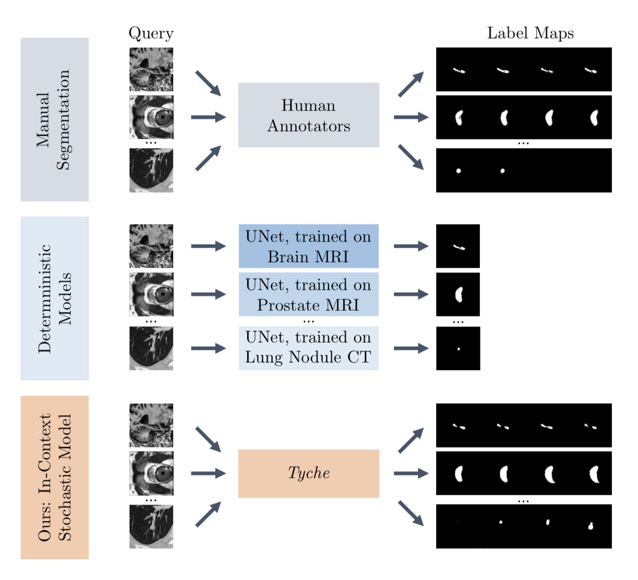 Ученые создали ИИ-модель для анализа медицинских снимков