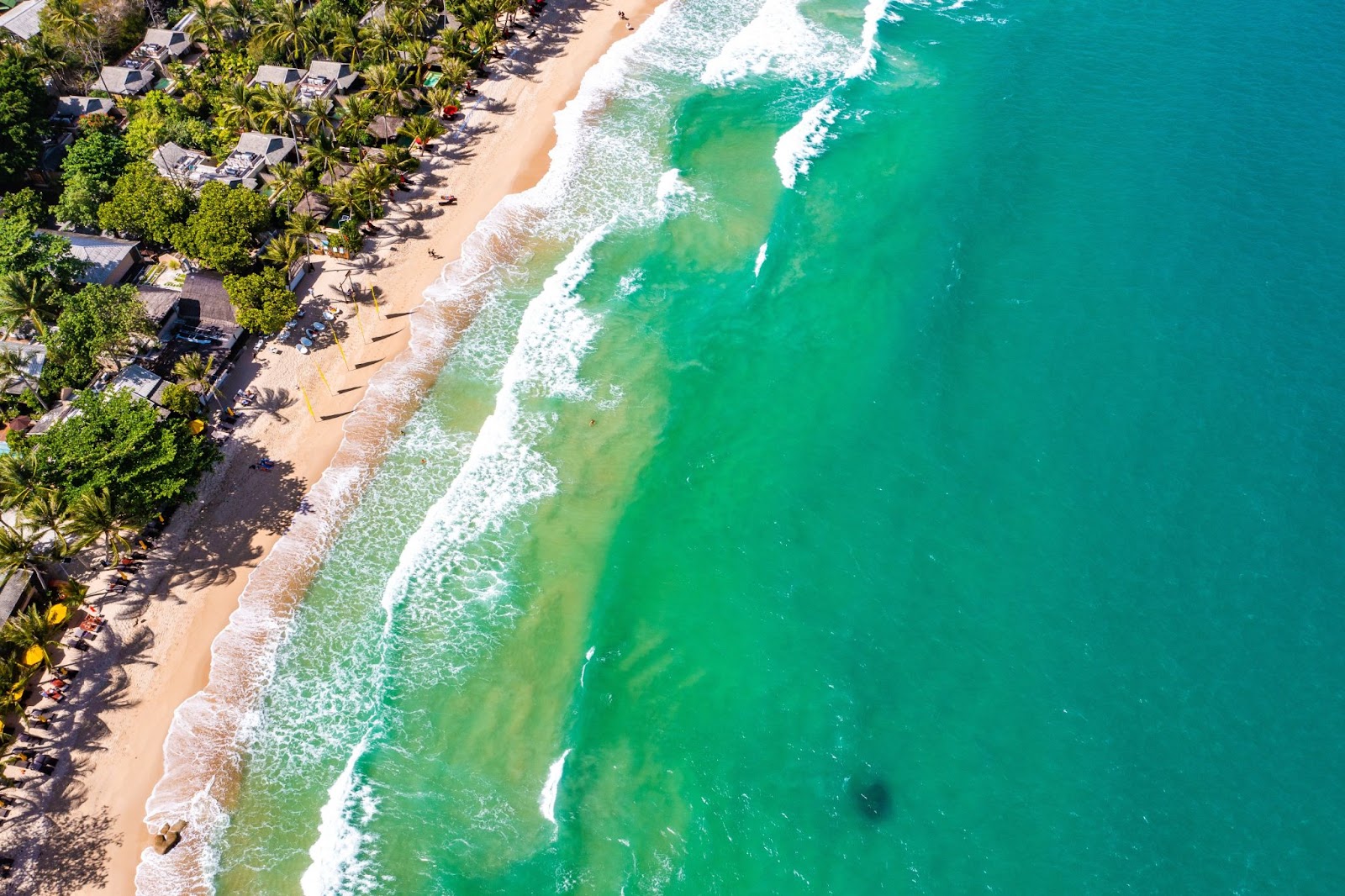 aerial view of island