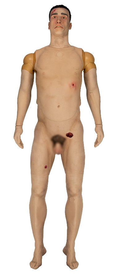 A close-up of a human body

Description automatically generated
