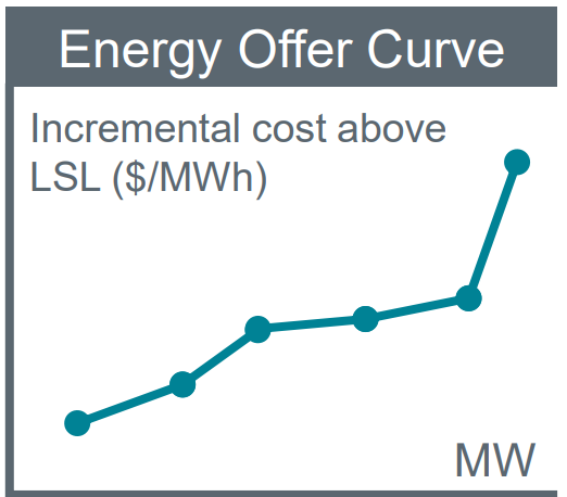 energy offer curve